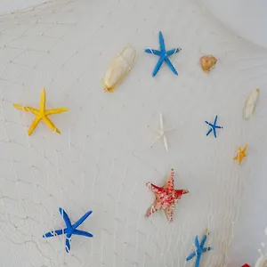  Alloggio in famiglia Casa Stelle Marine Italia